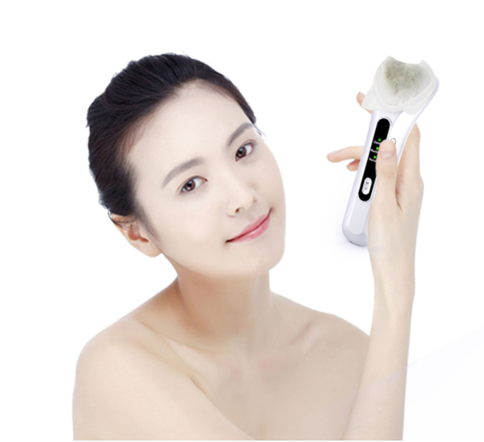 Electric Ultrasonic Facial Beauty Device
